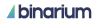 Binarium13 Top Logo