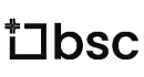 BSC Stocks logo