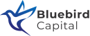 Bluebird Capital logo